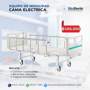 Cama Hospitalaria Eléctrica de 3 Posiciones